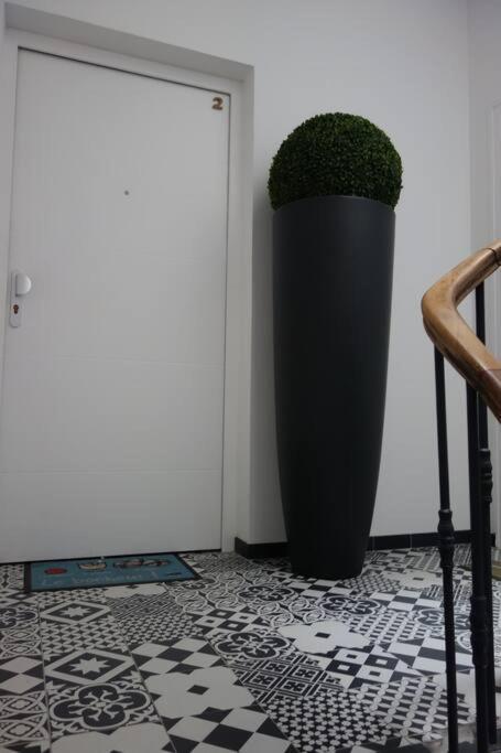 Appartement Port De Sanary Dış mekan fotoğraf